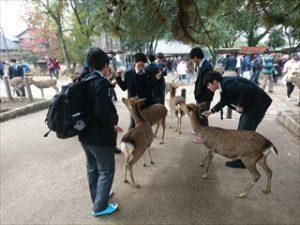 学習旅行（４日目）