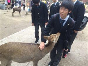 学習旅行（４日目）